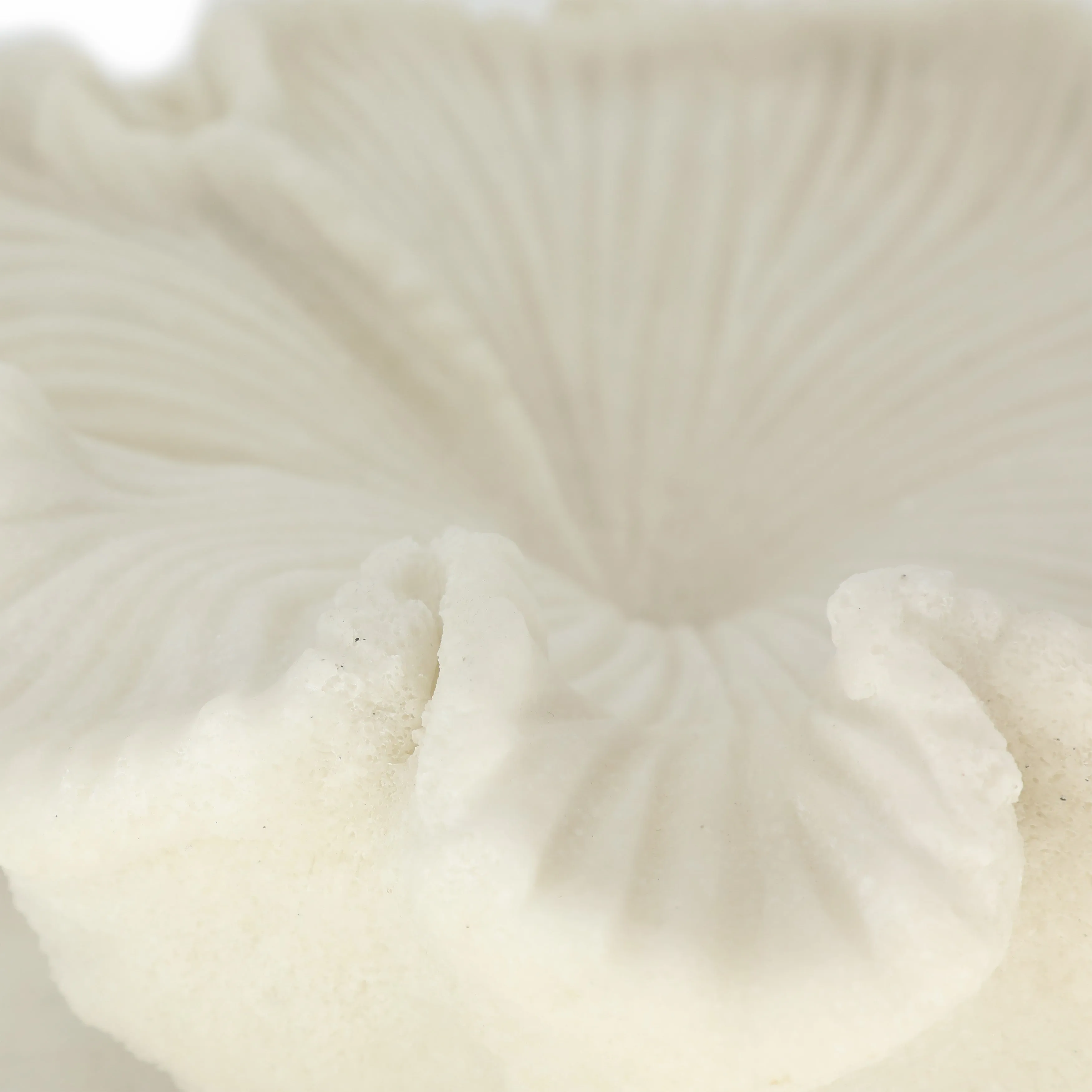 17" Majorca Quartz Resin Shell Bowl