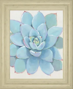 22x26 Pastel Succulent I By Tim OToole - Light Blue