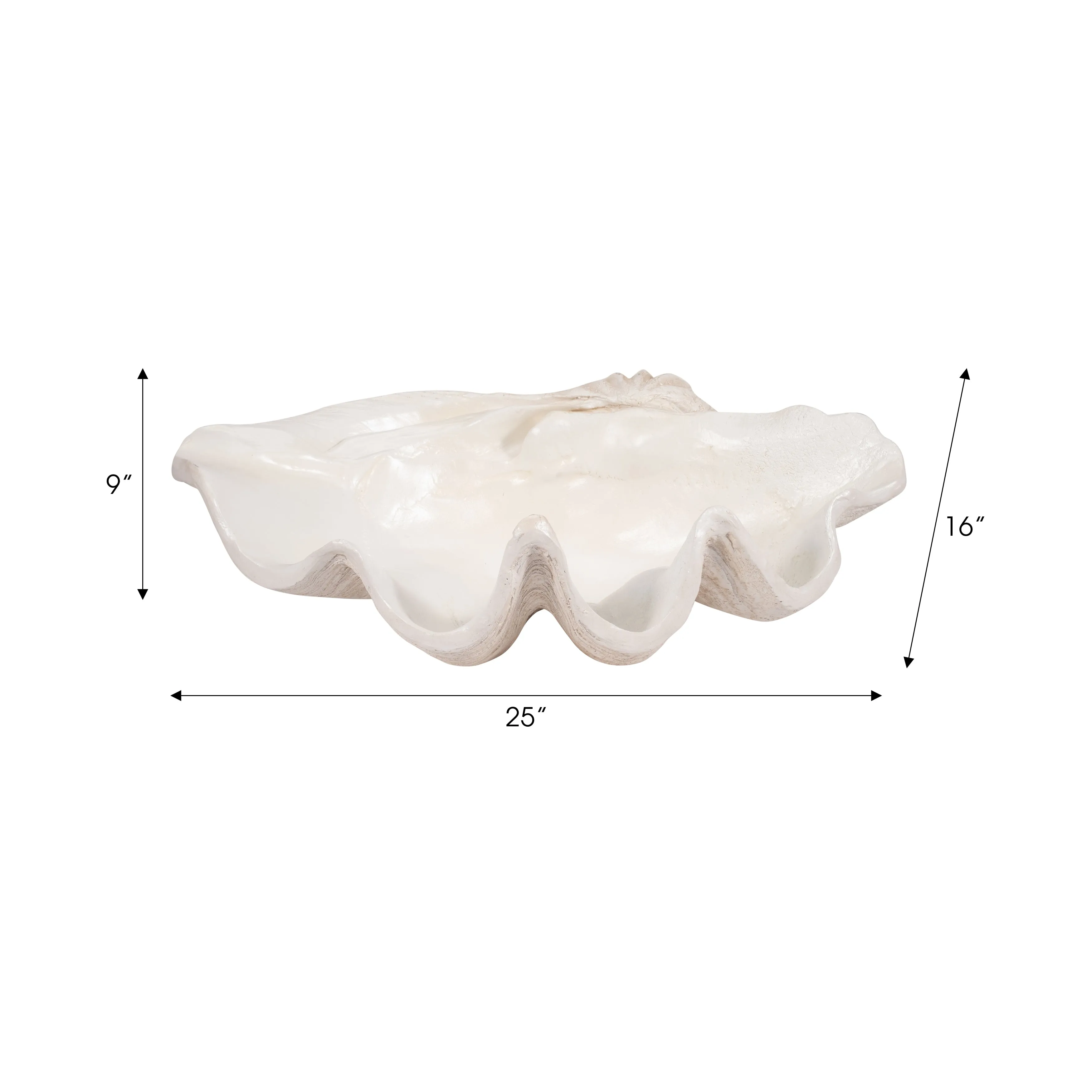 25" Pearlized Clam Shell Bowl, Ivory