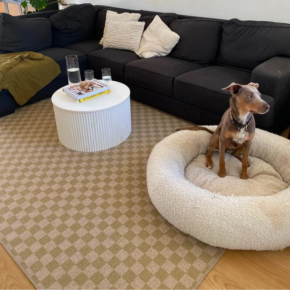 Checks New Jute Rug
