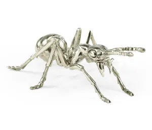Curated Collection - White Brass Ant
