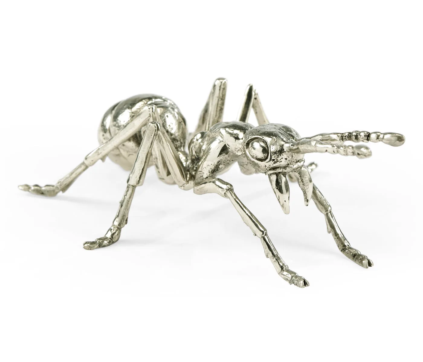 Curated Collection - White Brass Ant