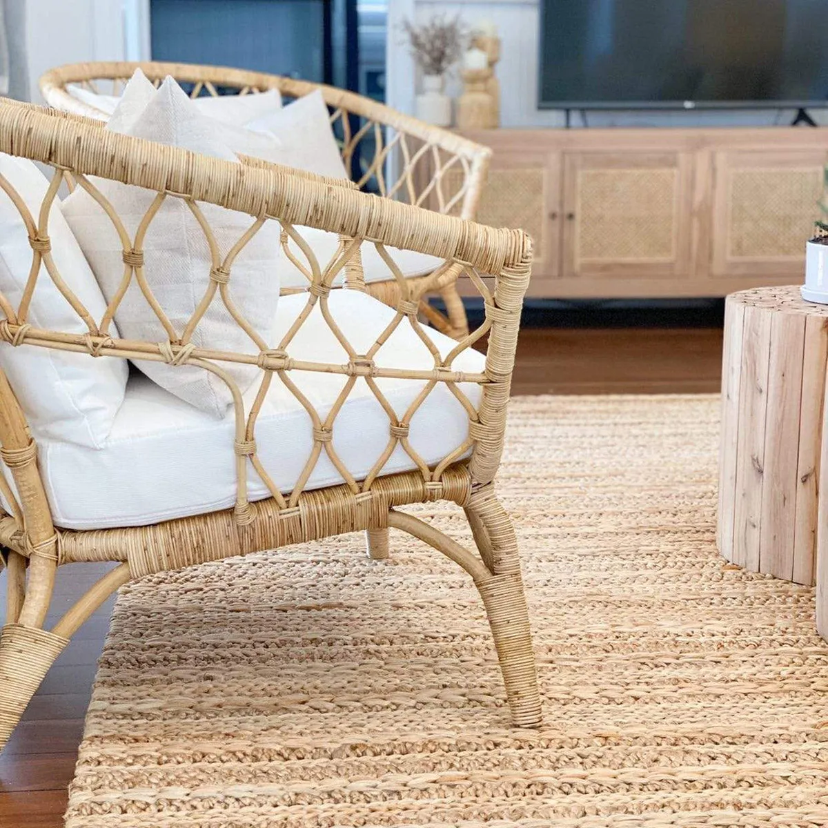 Eboni Chunky Braided Jute and Cotton Rug