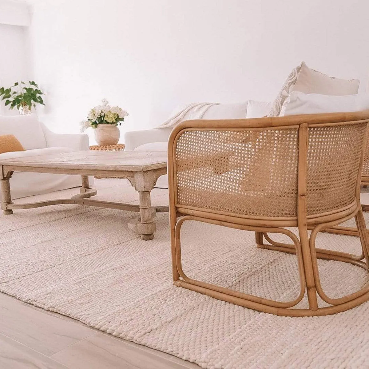 Fleur Braided and Looped Rug