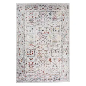 Livvie Multi-Colour Distressed Rug
