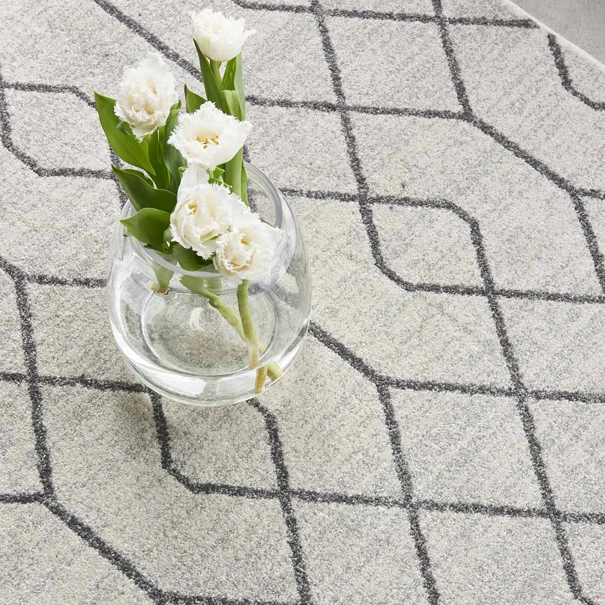 Paradise Hailey Rug
