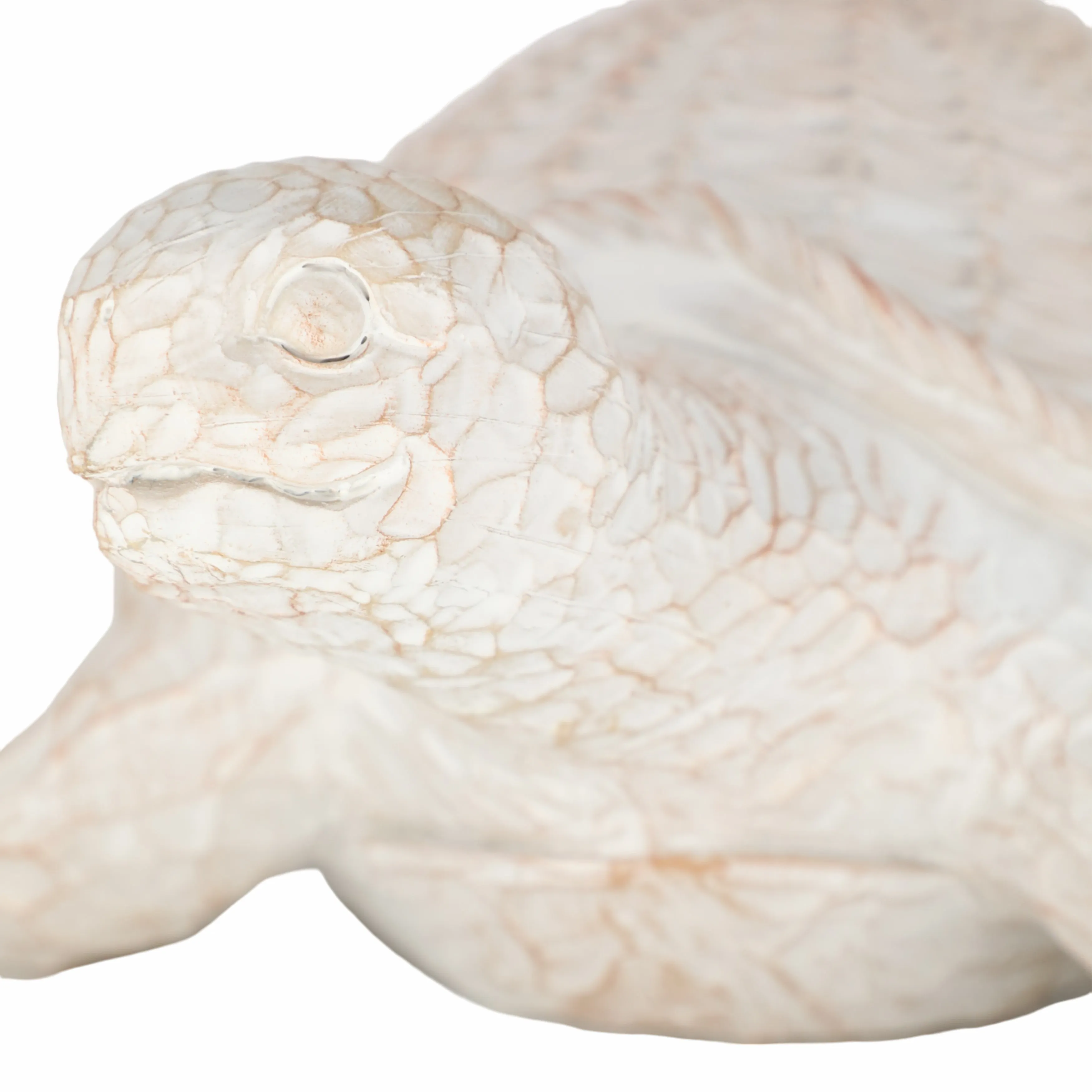RESIN, 15" TURTLE DECO, WHITE