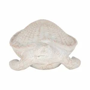 RESIN, 15" TURTLE DECO, WHITE