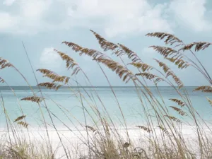 Solitude Beach By Danita Delimont (Framed) - Light Blue