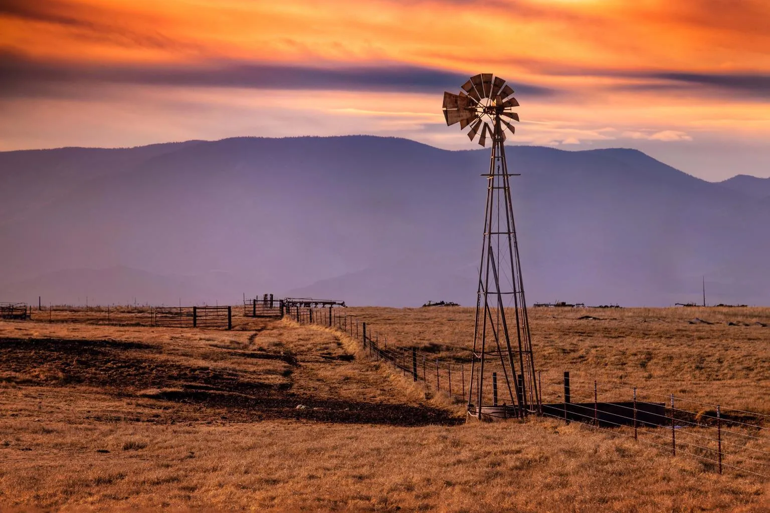 Tempered Glass - Windmill On The Prairie - Light Brown