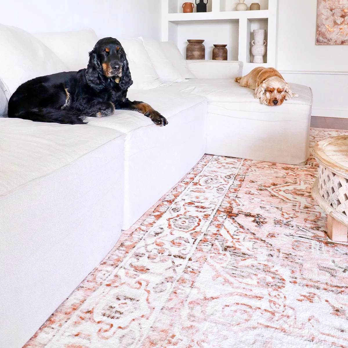 Veronique Distressed Washable Rug