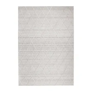 Visions 5051 Rug (Silver)