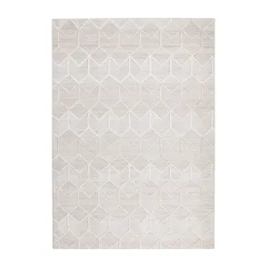 Visions 5055 Rug (Grey)